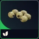 Olives — ARC Raiders