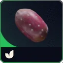 Prickly Pear — ARC Raiders
