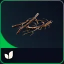 Roots — ARC Raiders