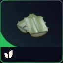 Agave — ARC Raiders